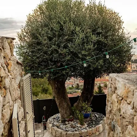 Prázdninový dům Le Petit Jardin Exotique